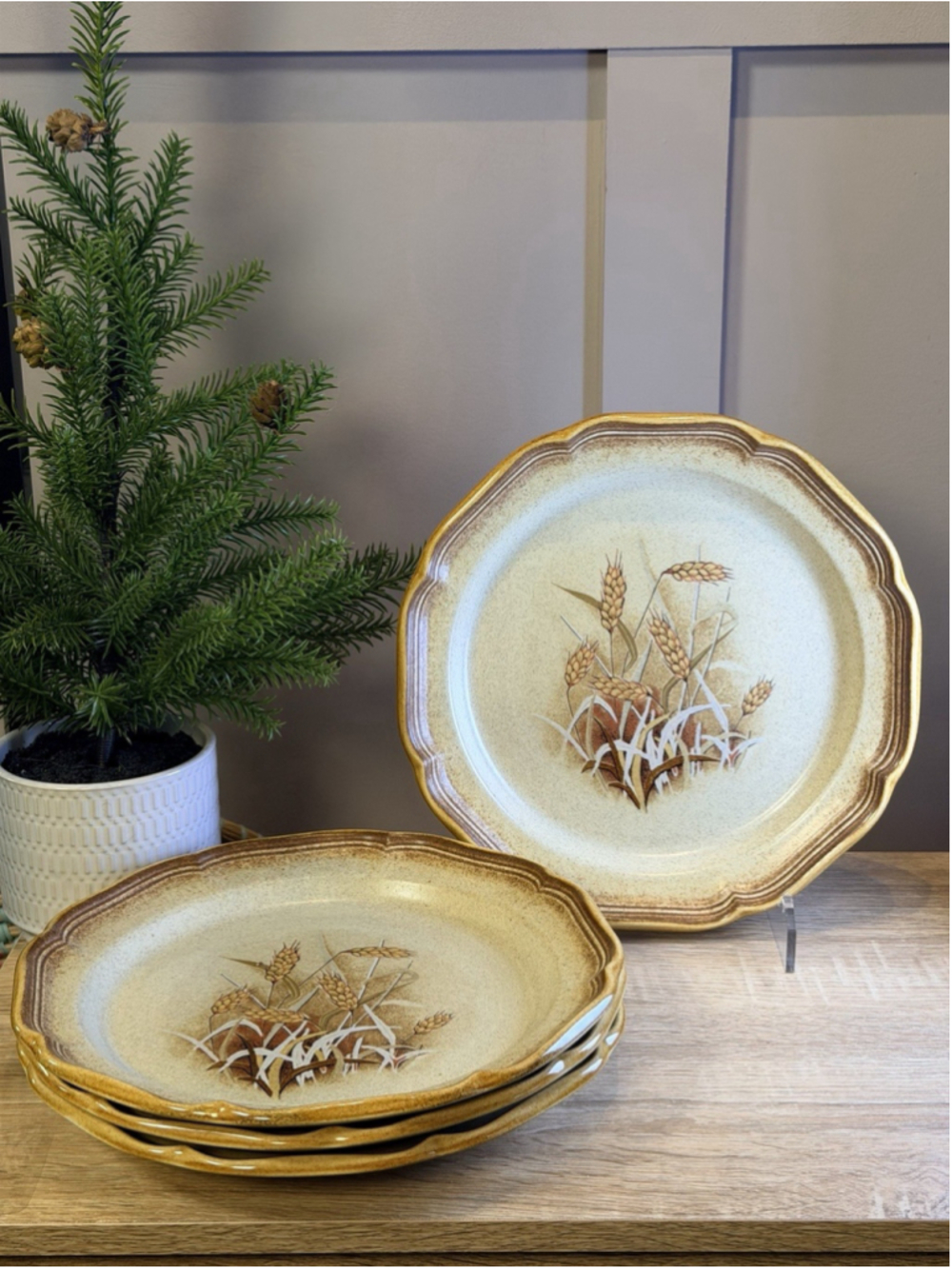 Set Of 4 VTG 1977-89 Mikasa Whole Wheat Granola Dinner Plates 10.5"D Japan E8001